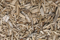 biomass boilers Piddletrenthide